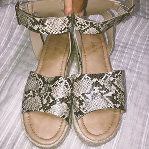 Snakeskin Platforms 🐍🐍